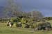20060401_mayo_srahweemegalithictomb_alentours_4