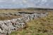 20060402_clare_poulnabrone_alentours_4