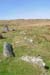 20060403_valenciaisland_brayhead_standingstones_1