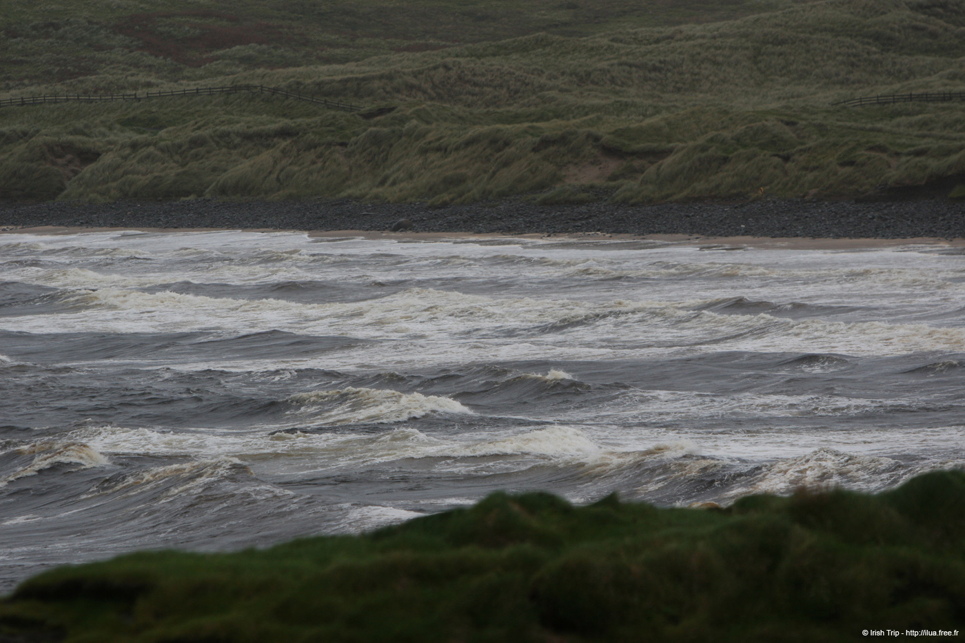 20081007_bushfootstrand1