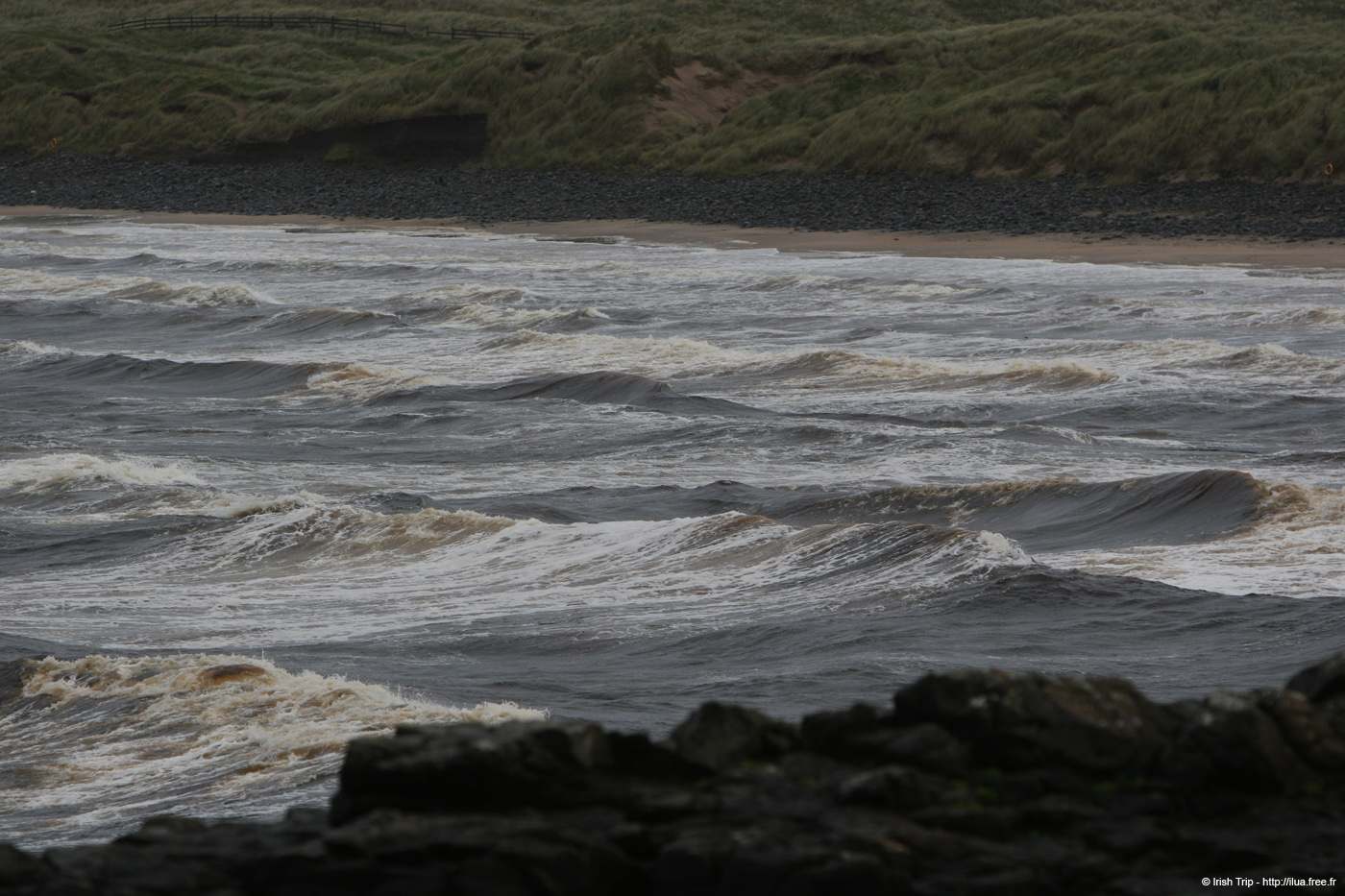 20081007_bushfootstrand2