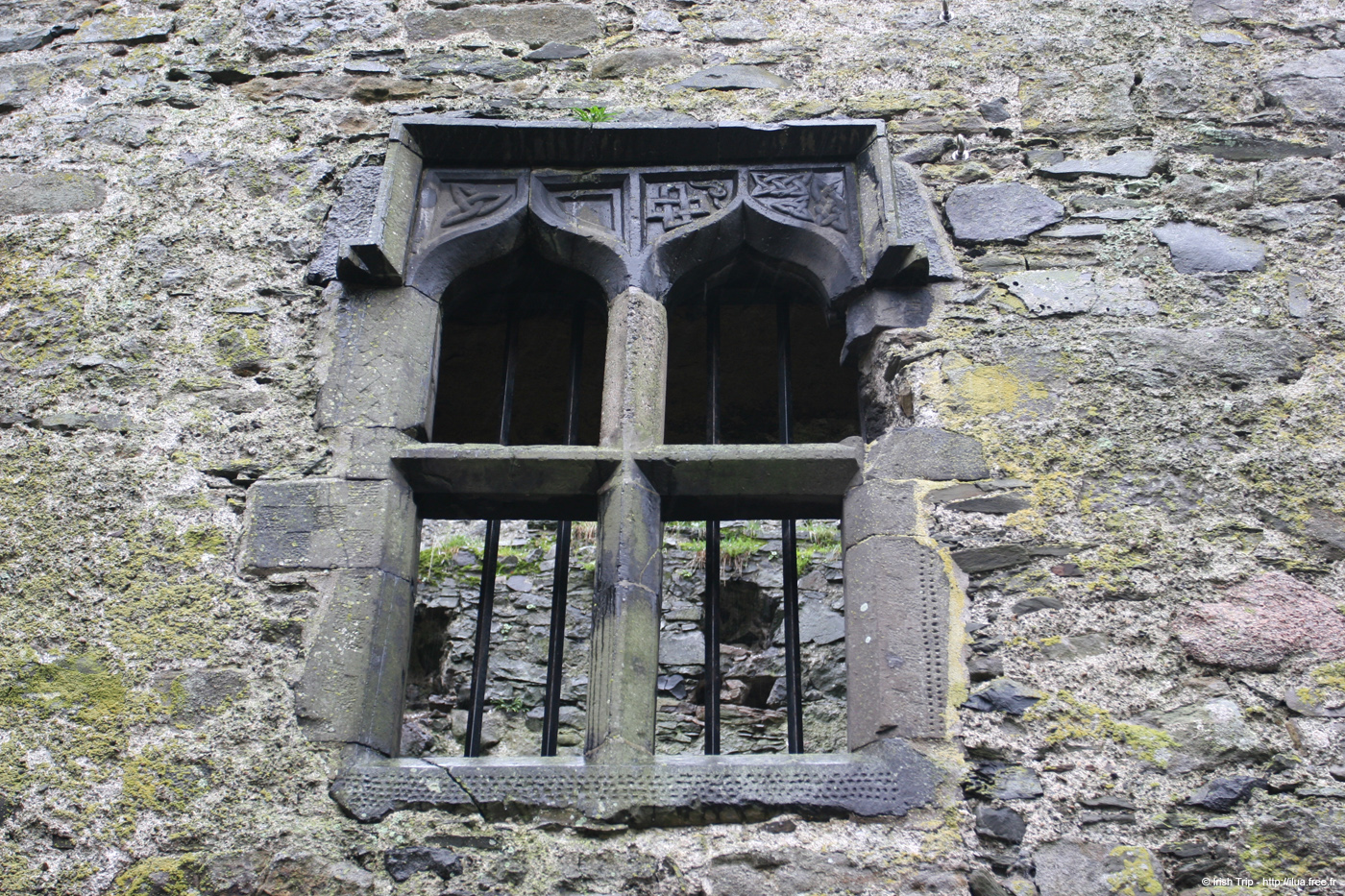 20081007_carlingford05