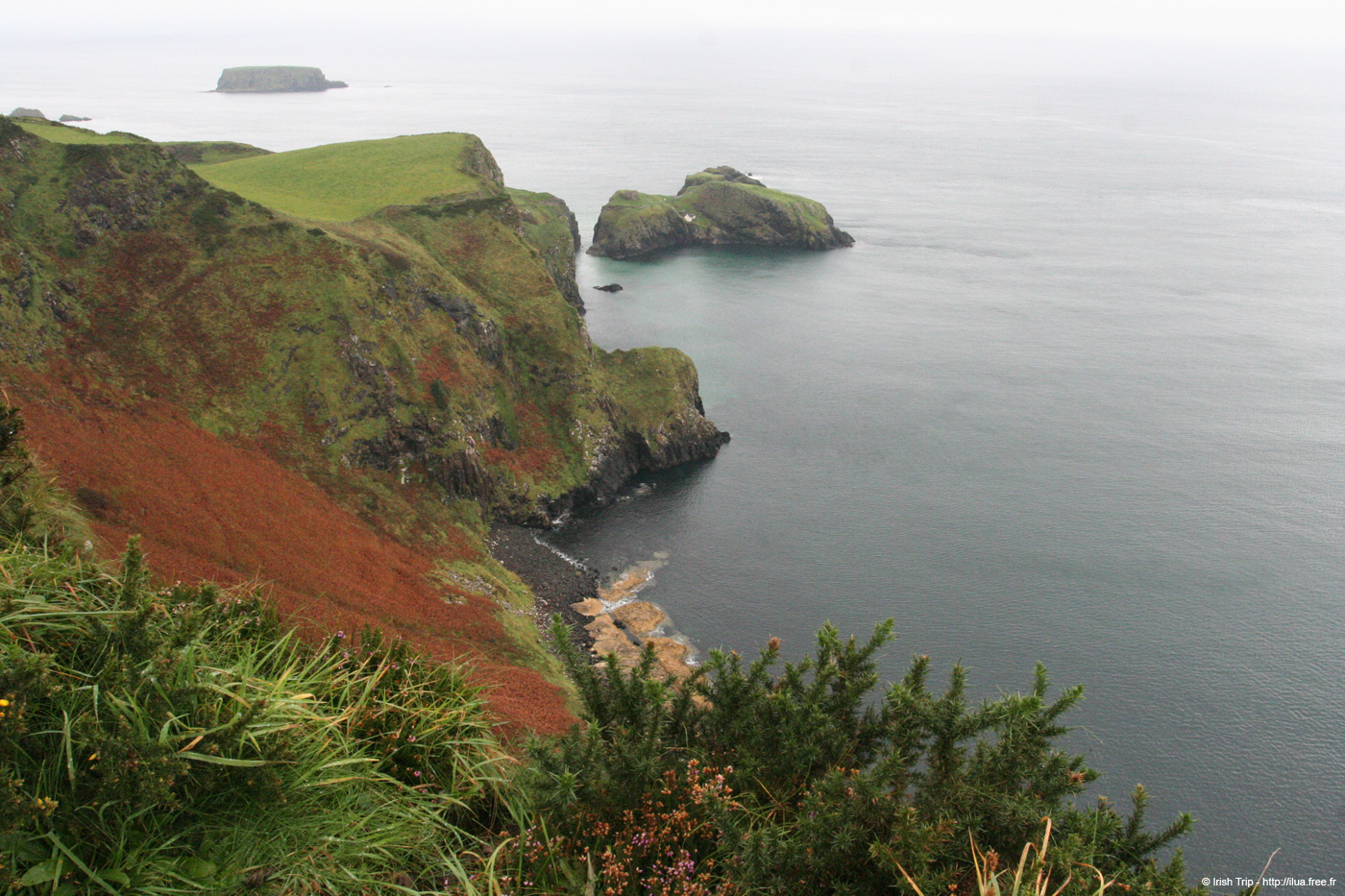 20081007_carrickarede02