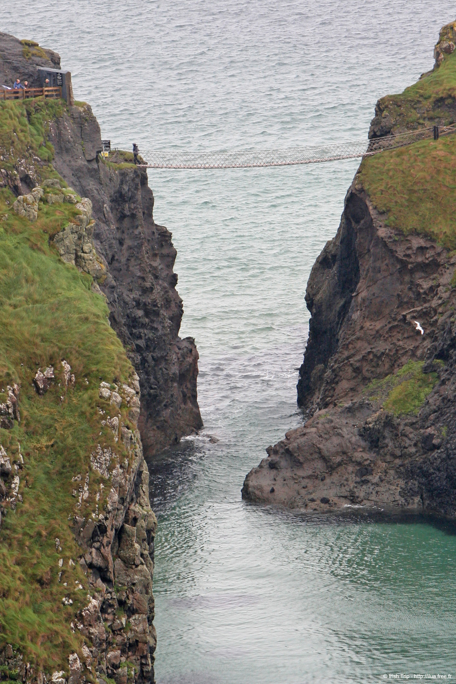 20081007_carrickarede06