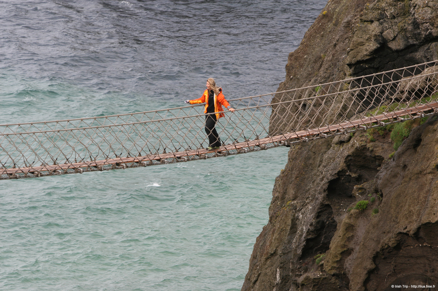 20081007_carrickarede16