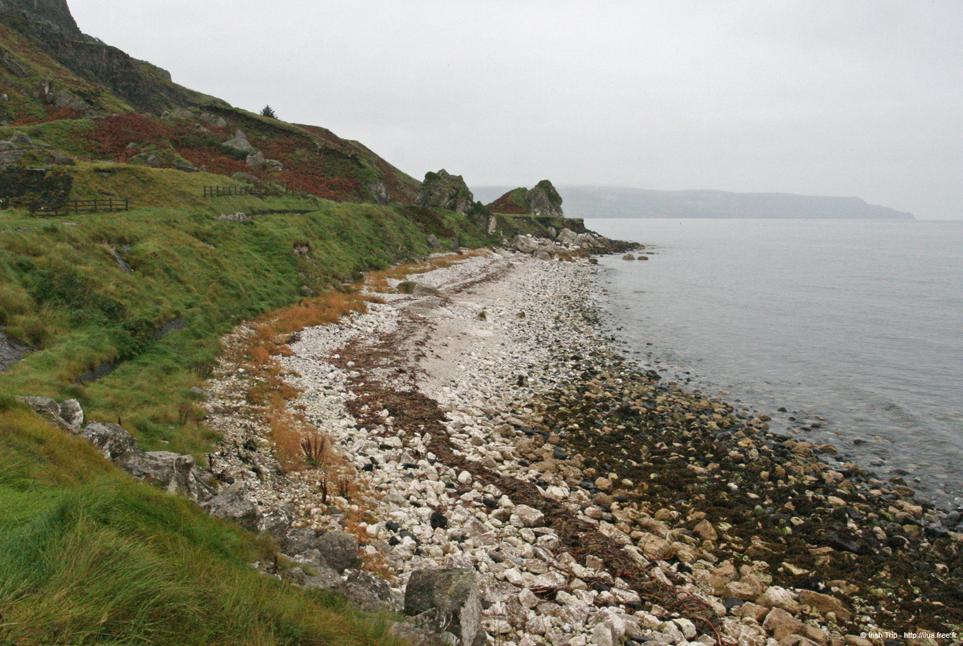 20081007_drainssbay01