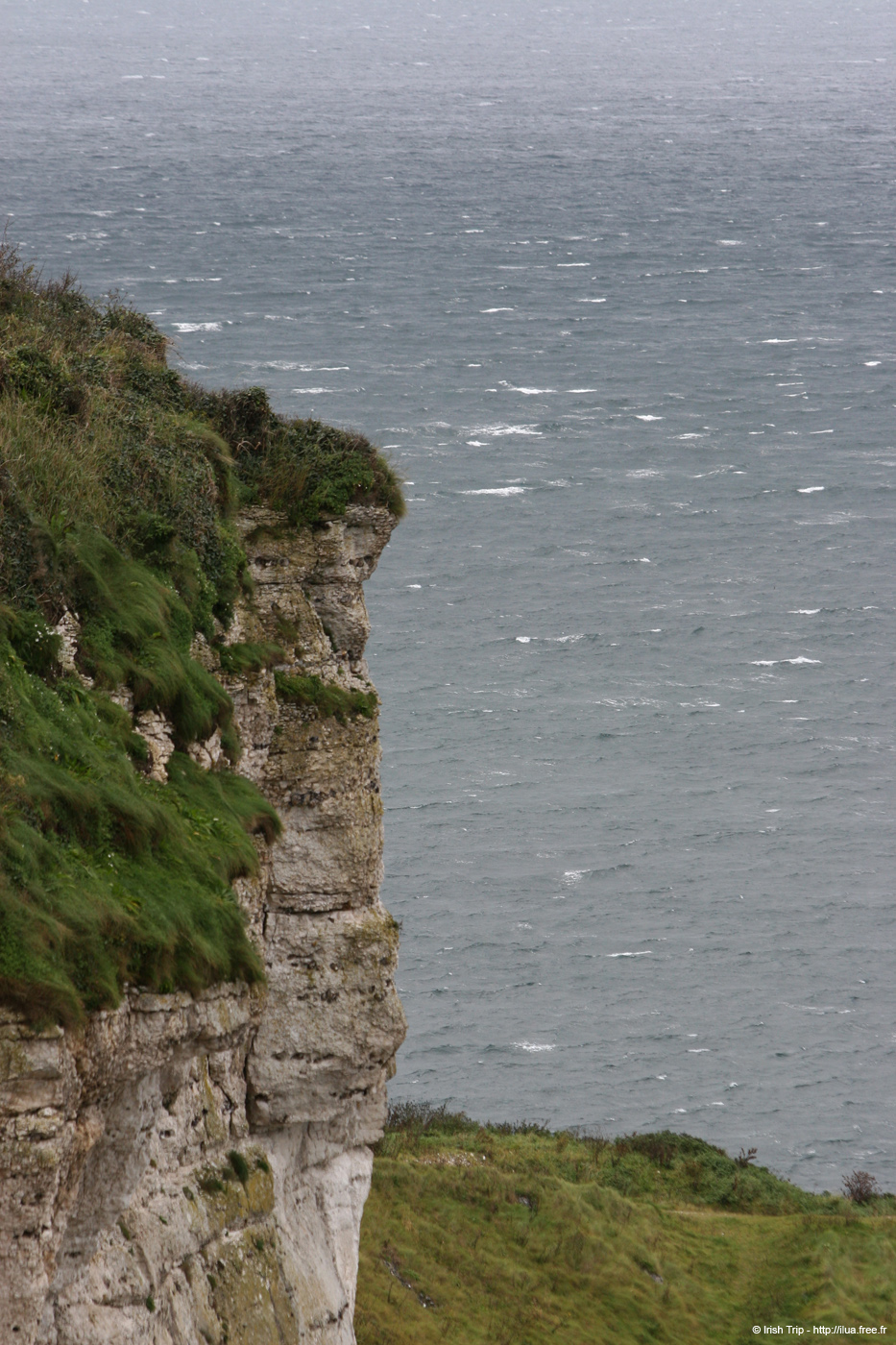 20081007_larrybanebay14