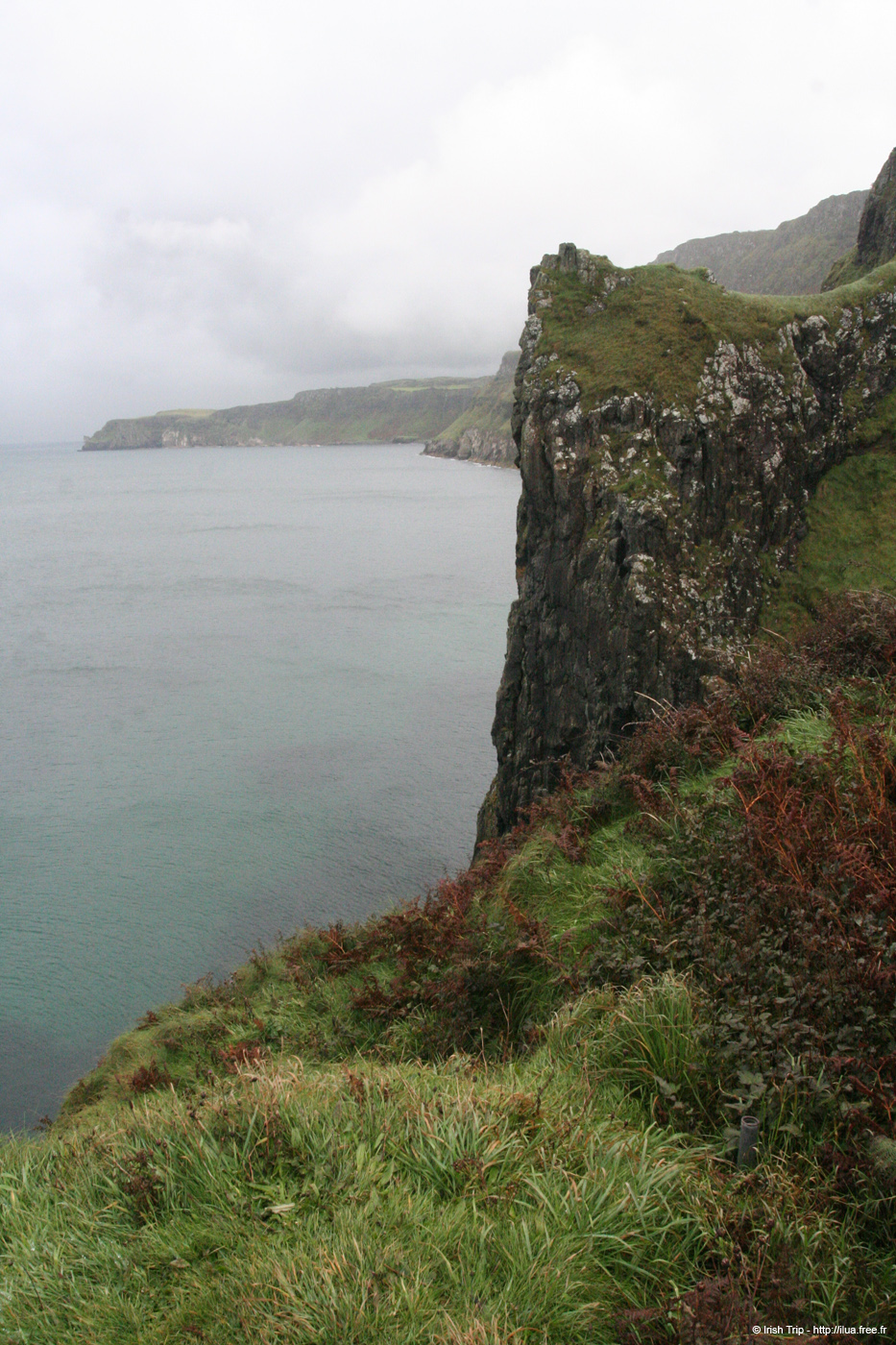 20081007_portaneevey2