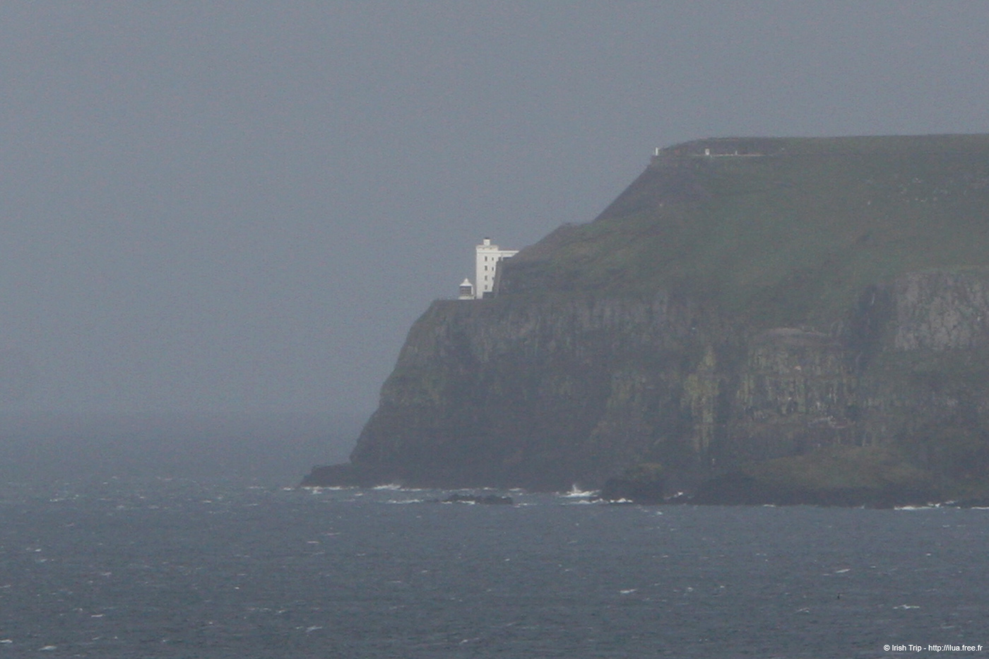 20081007_rathlinislandbullpoint