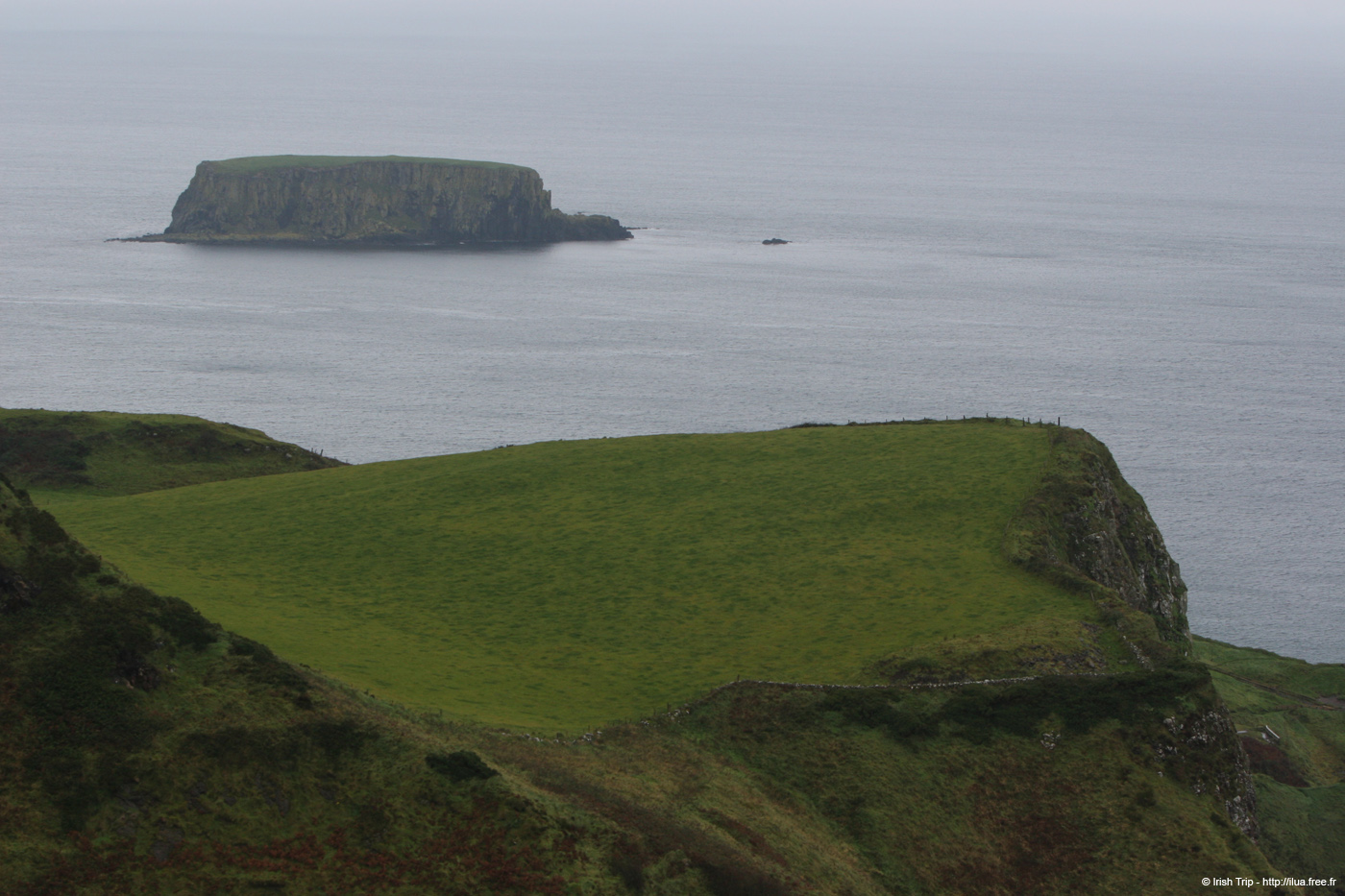 20081007_sheepisland01