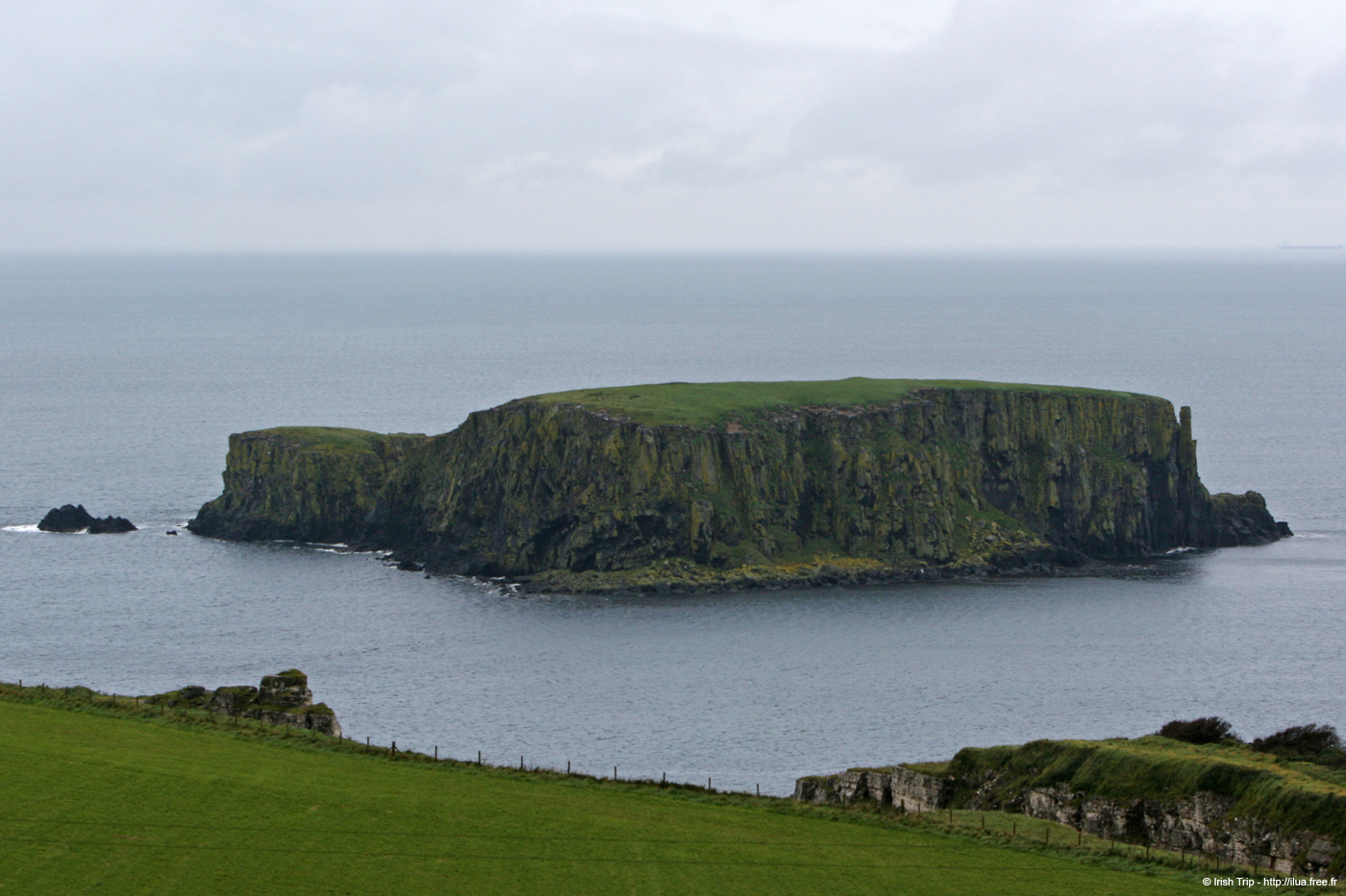 20081007_sheepisland02