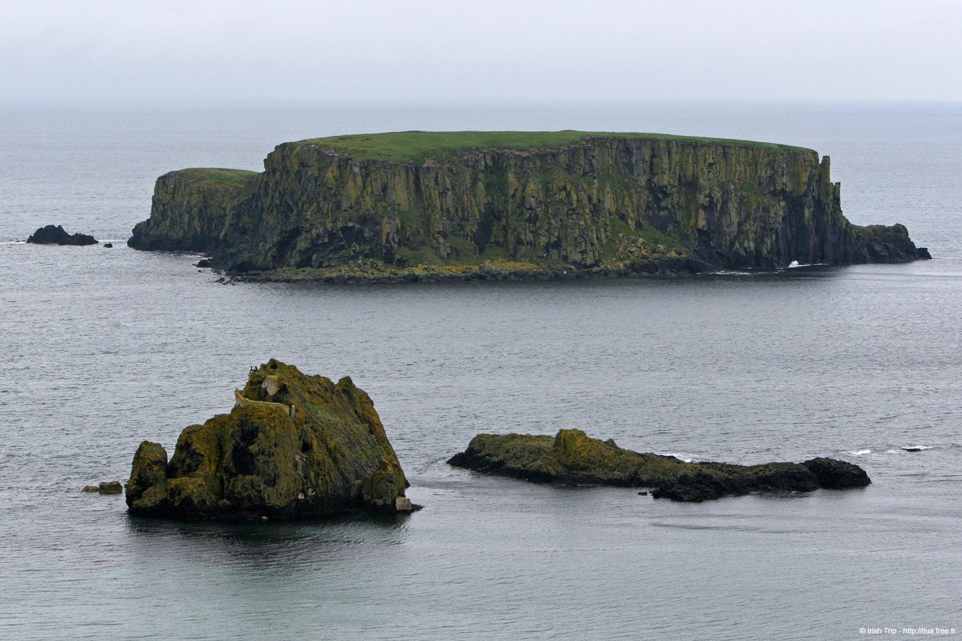 20081007_sheepisland03