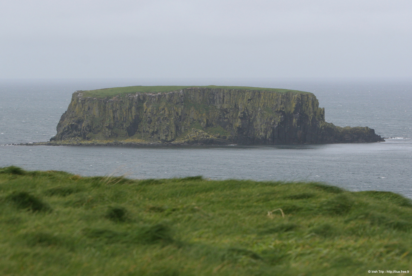 20081007_sheepisland04