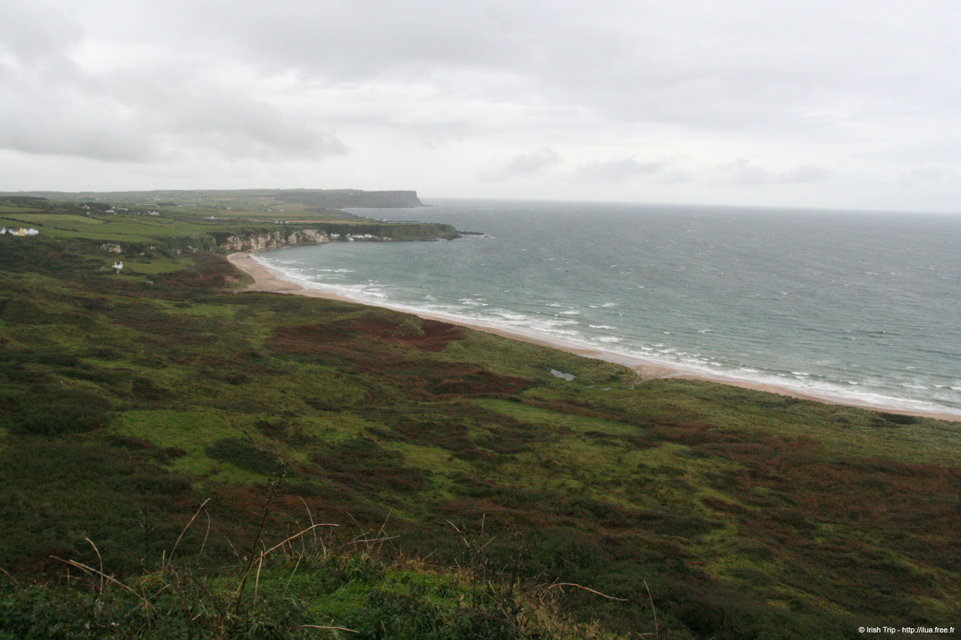 20081007_whiteparkbay1