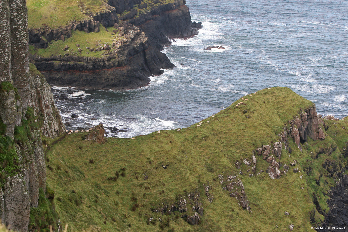20081008_benbanecliffpath44