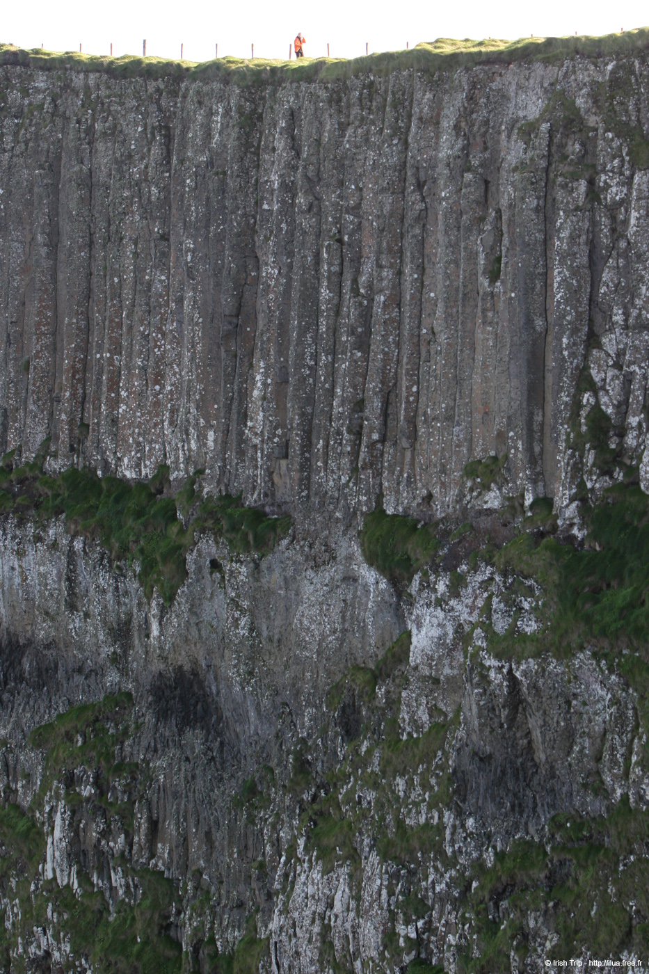 20081008_benbanecliffpath53