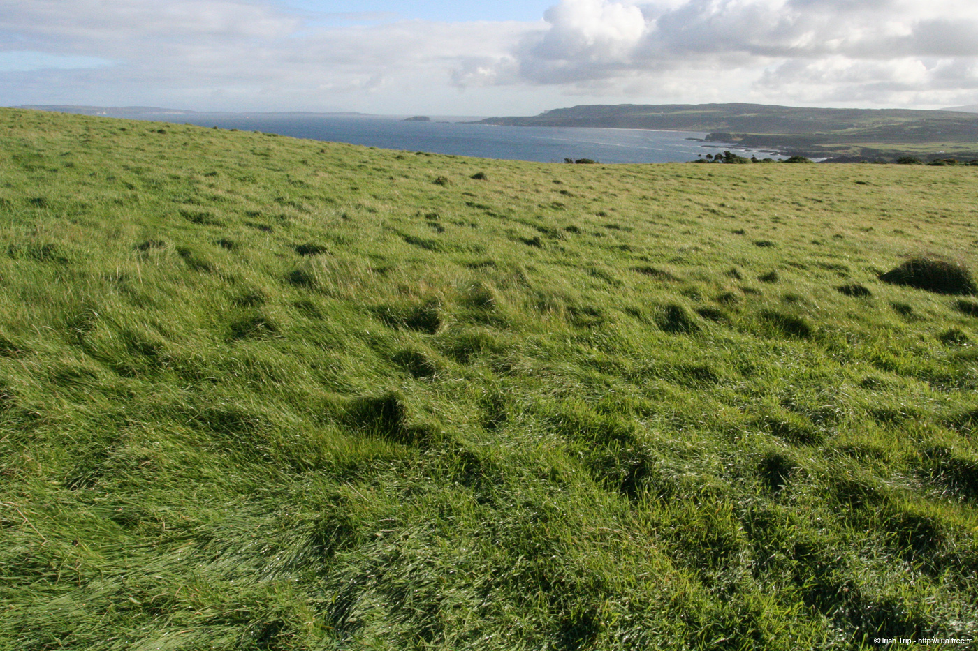 20081008_benbanecliffpath64