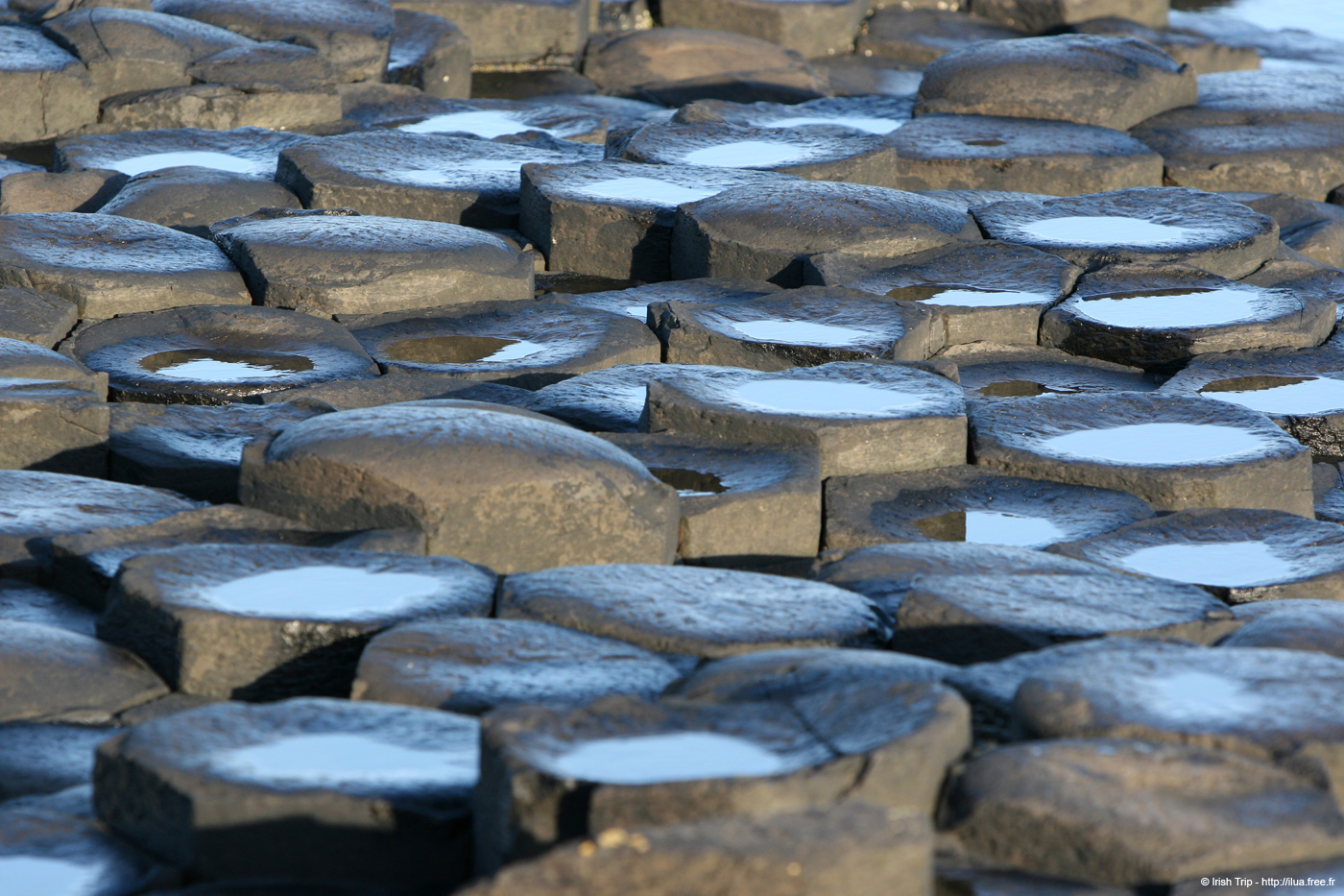 20081008_giantcauseway22