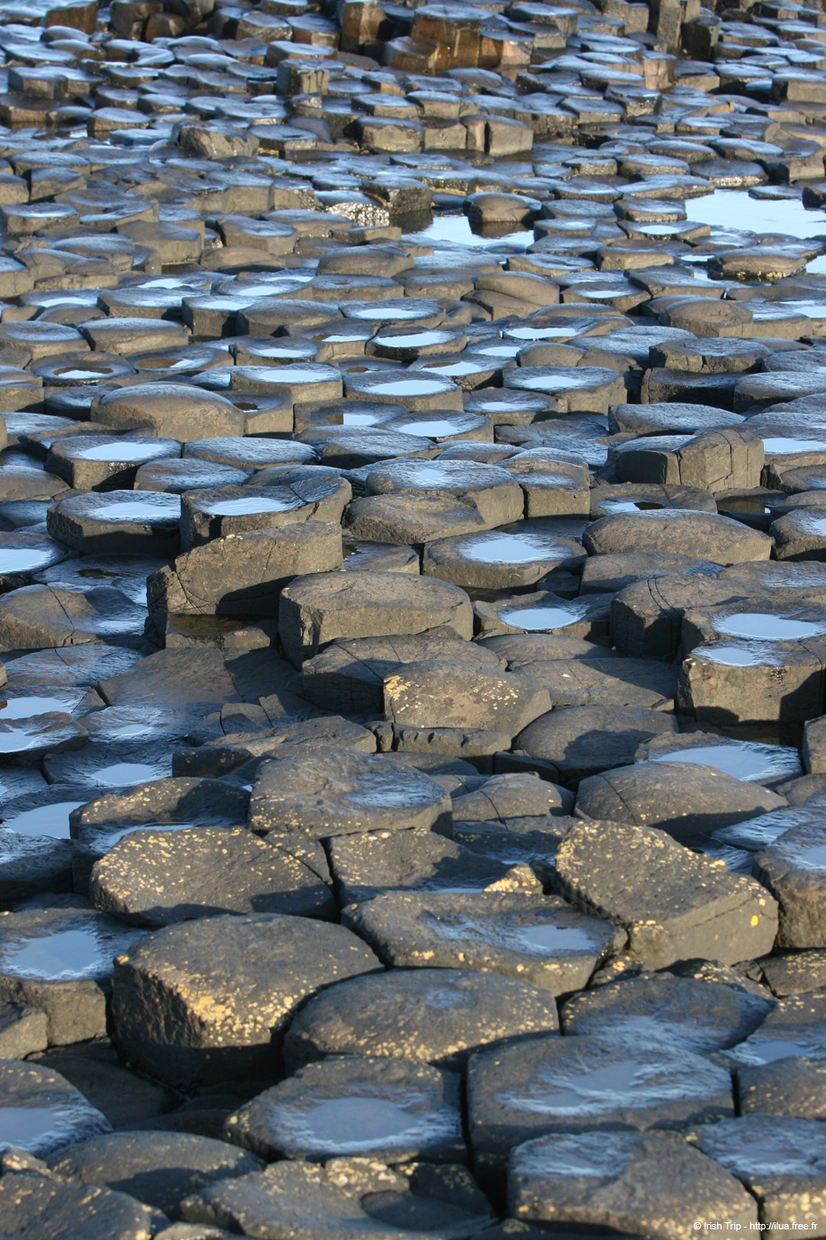20081008_giantcauseway24