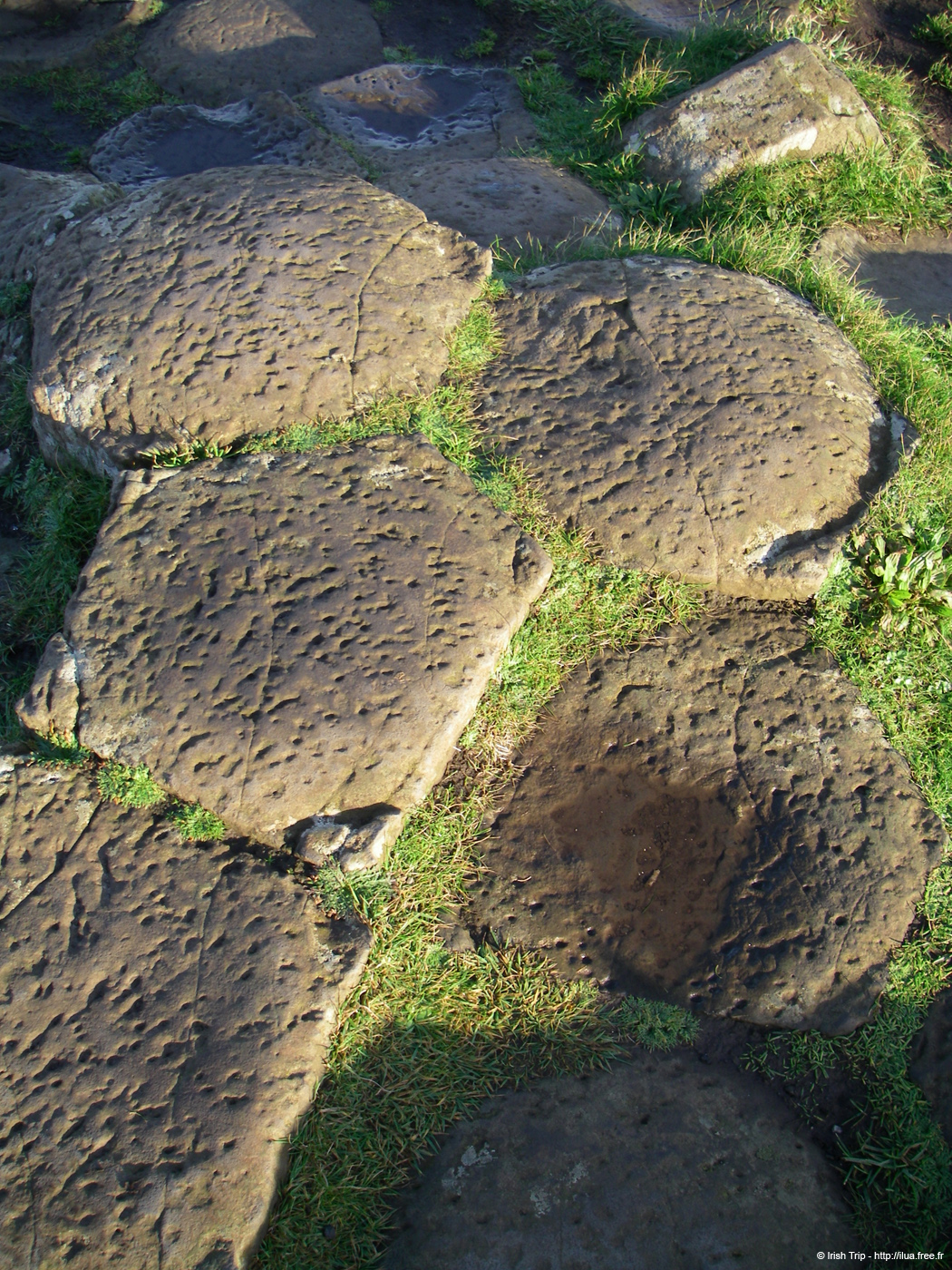 20081008_giantcauseway25