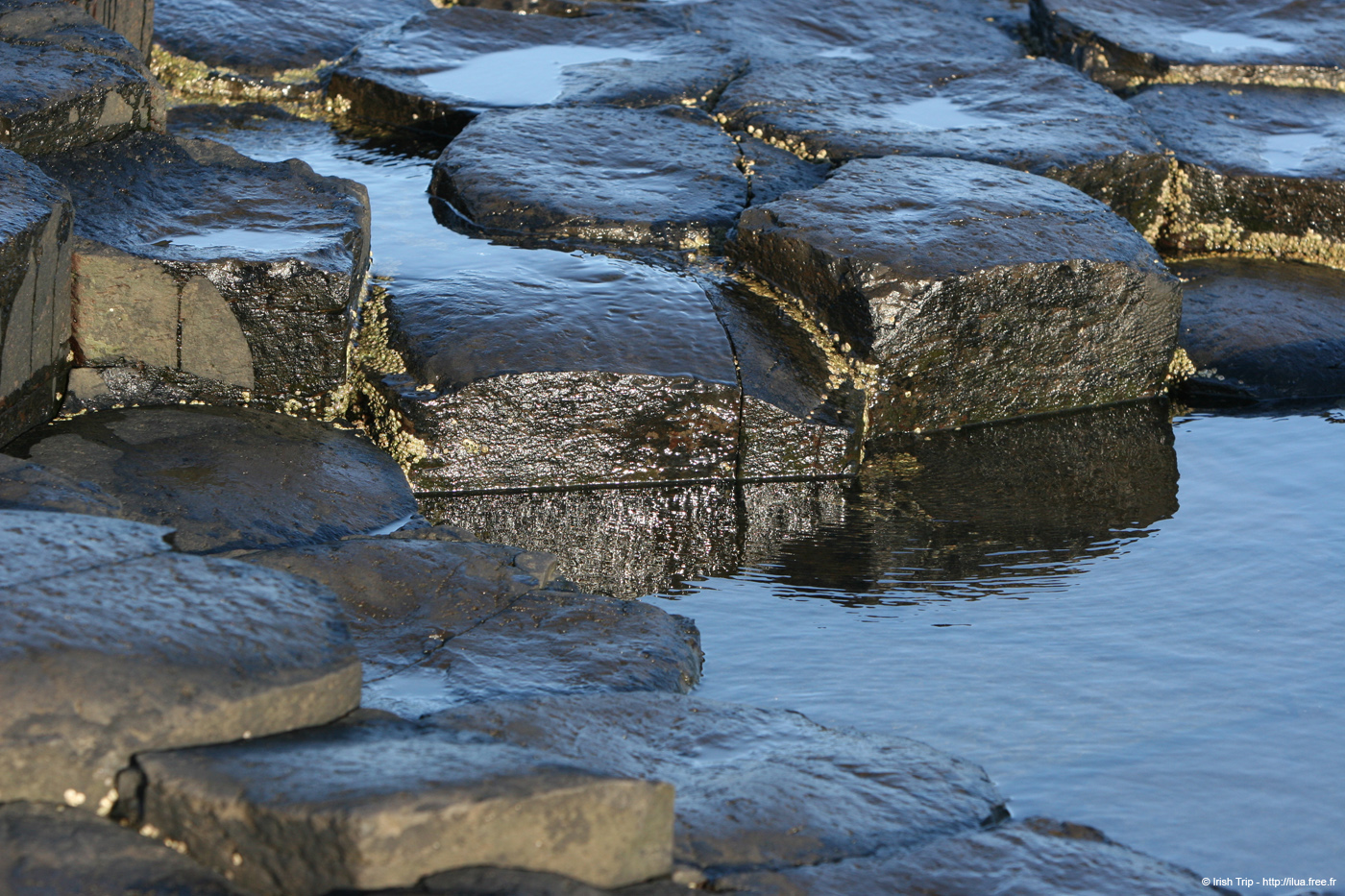 20081008_giantcauseway26