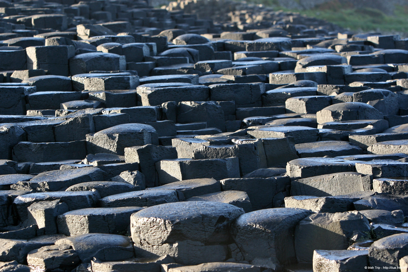 20081008_giantcauseway27