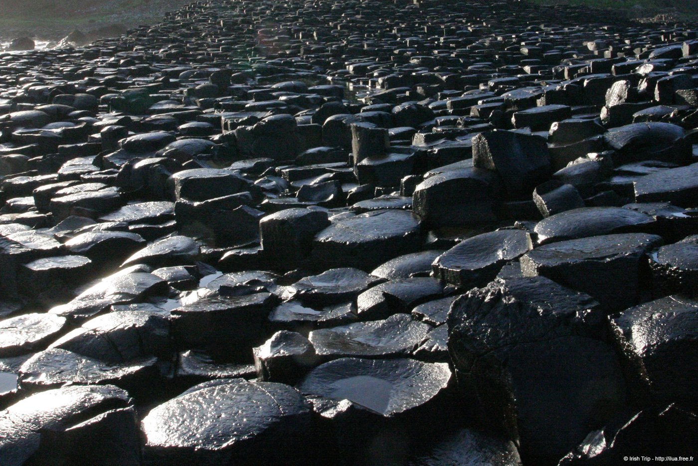 20081008_giantcauseway33