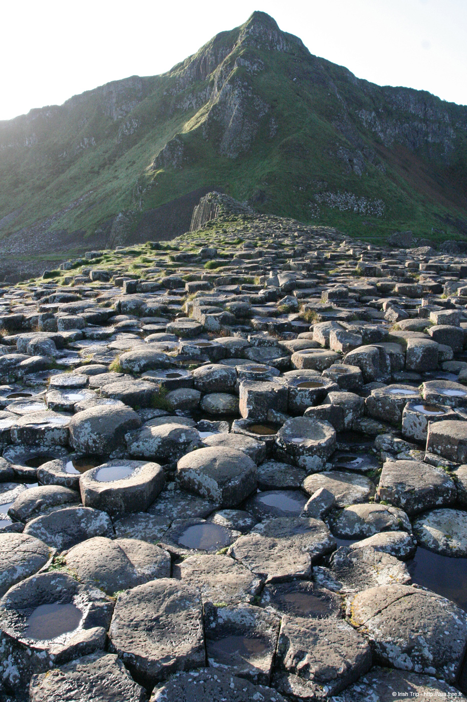 20081008_giantcauseway34