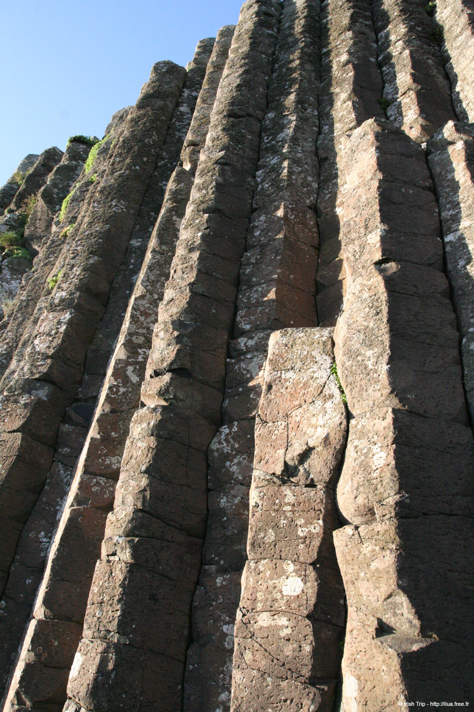 20081008_giantcauseway38titledcolumns