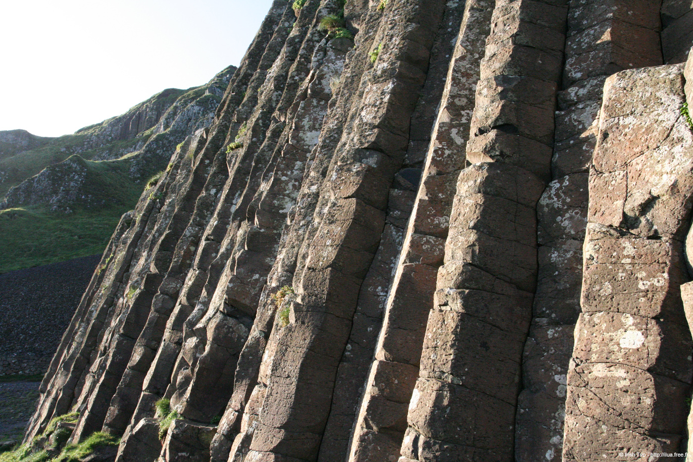 20081008_giantcauseway39titledcolumns