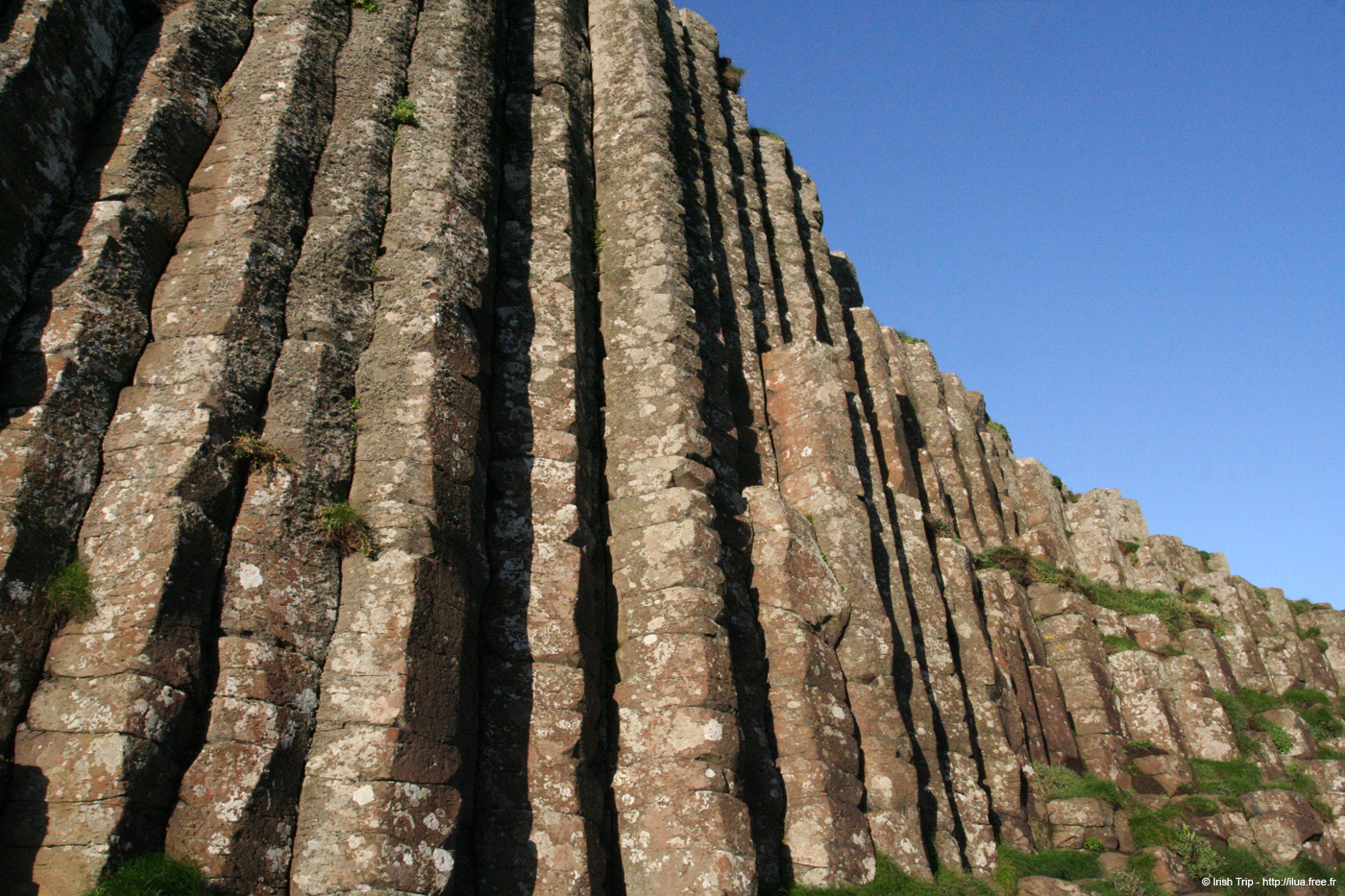 20081008_giantcauseway40titledcolumns