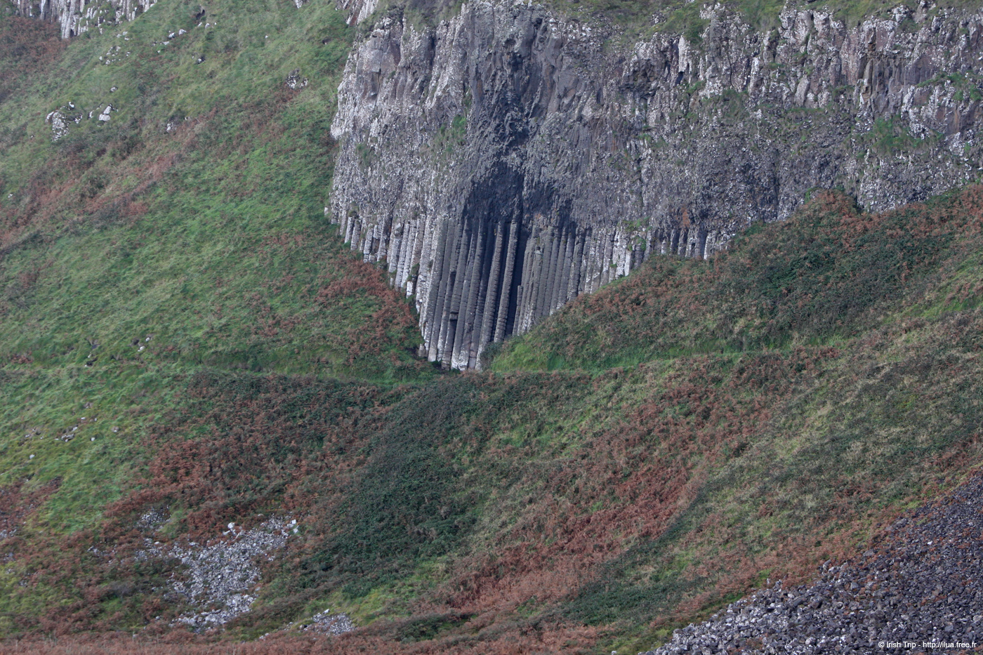 20081008_giantcauseway56theorgan