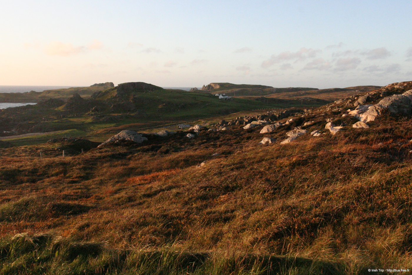 20081008_malinhead01