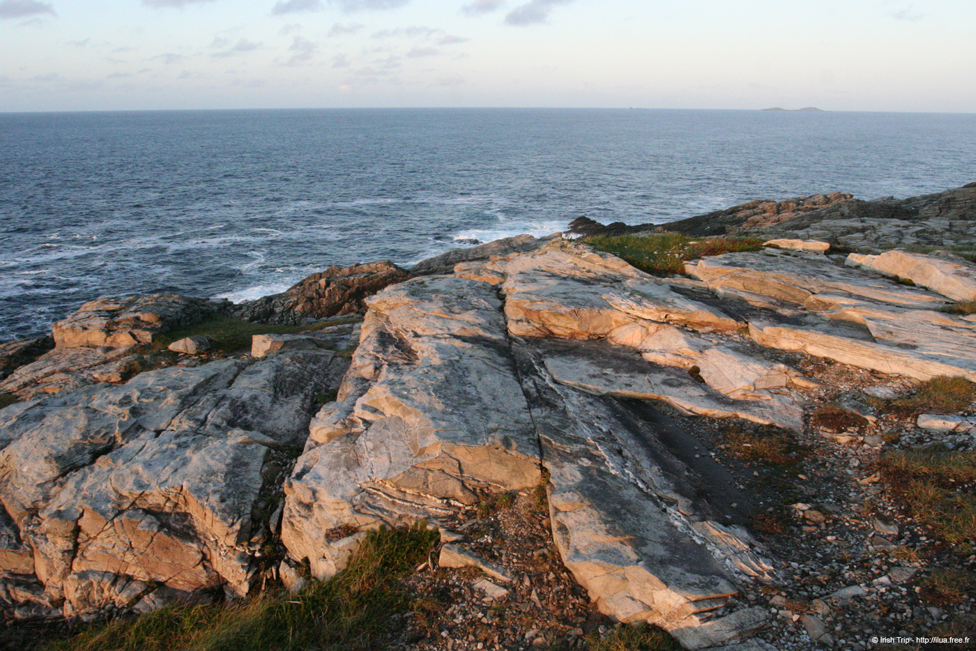 20081008_malinhead02
