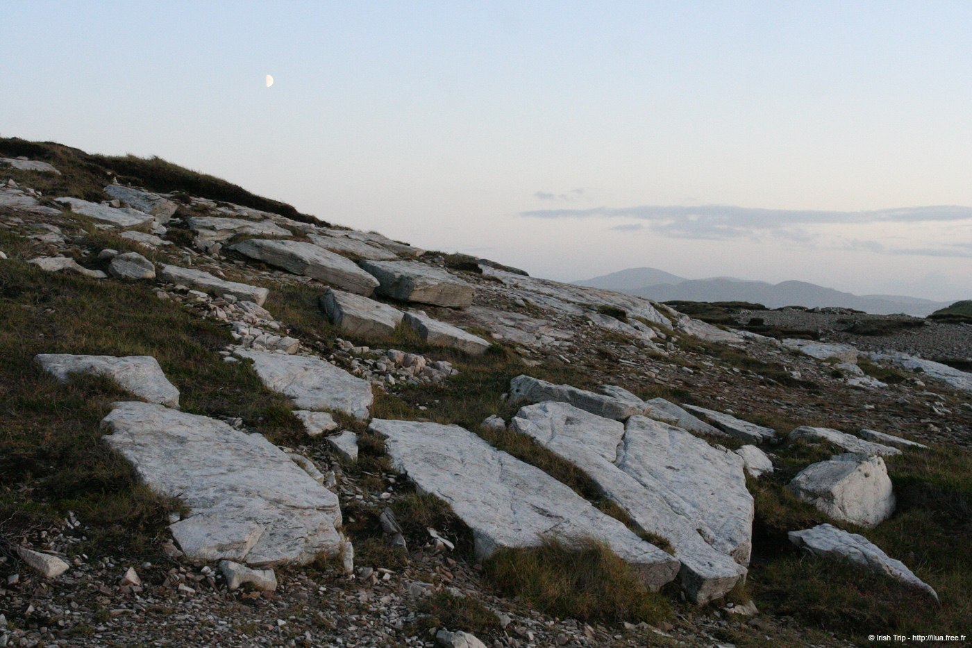 20081008_malinhead03