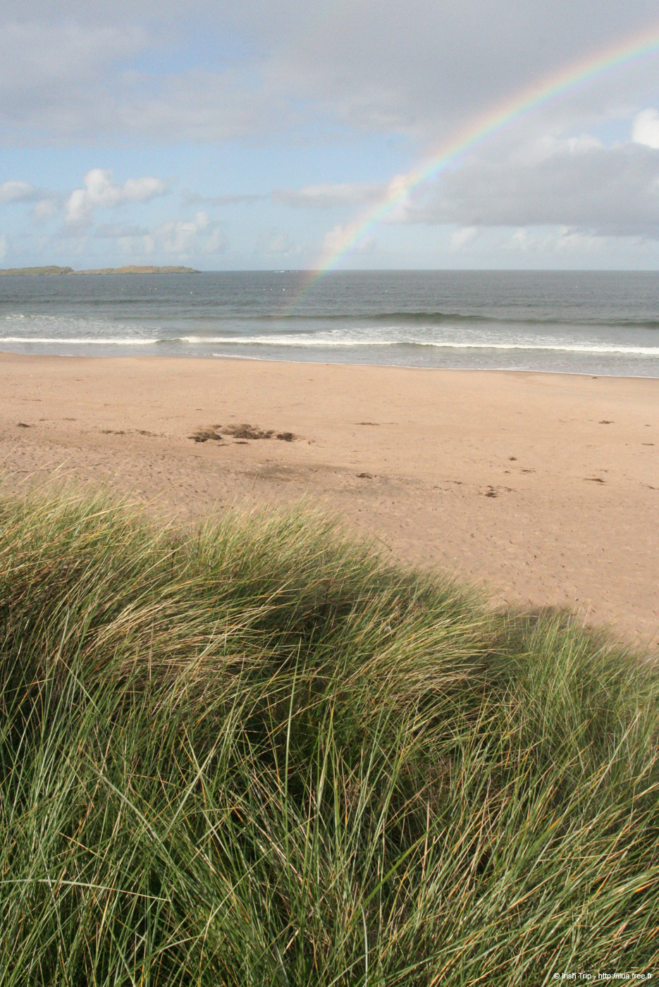 20081008_thewhiterocks05strand