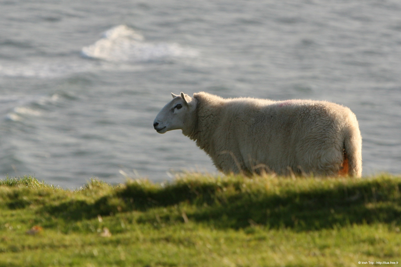 20081008_trawbreagabay04