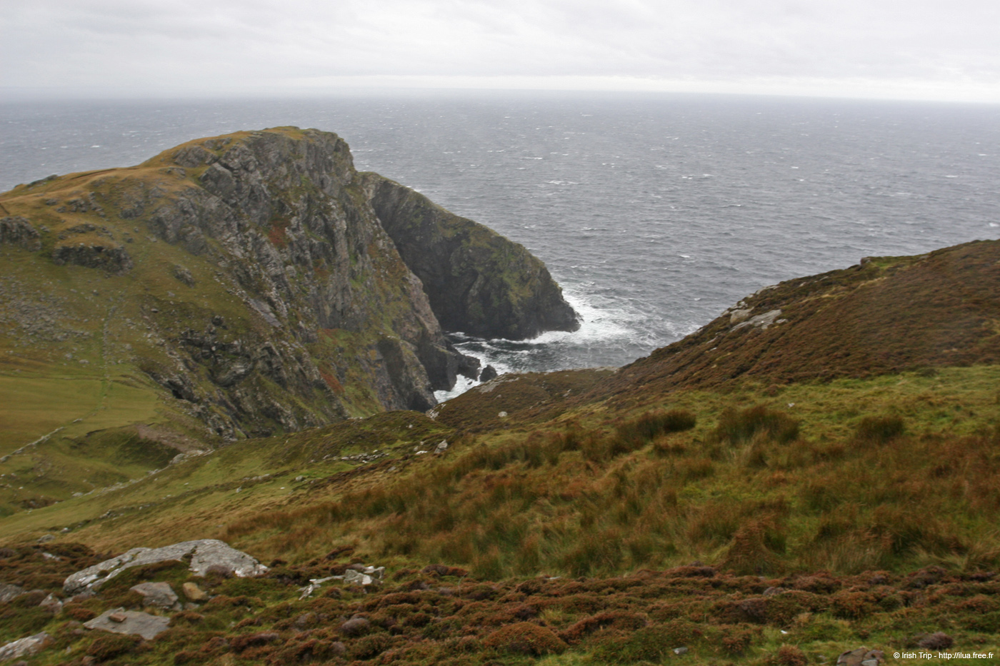 20081009_carriganhead01
