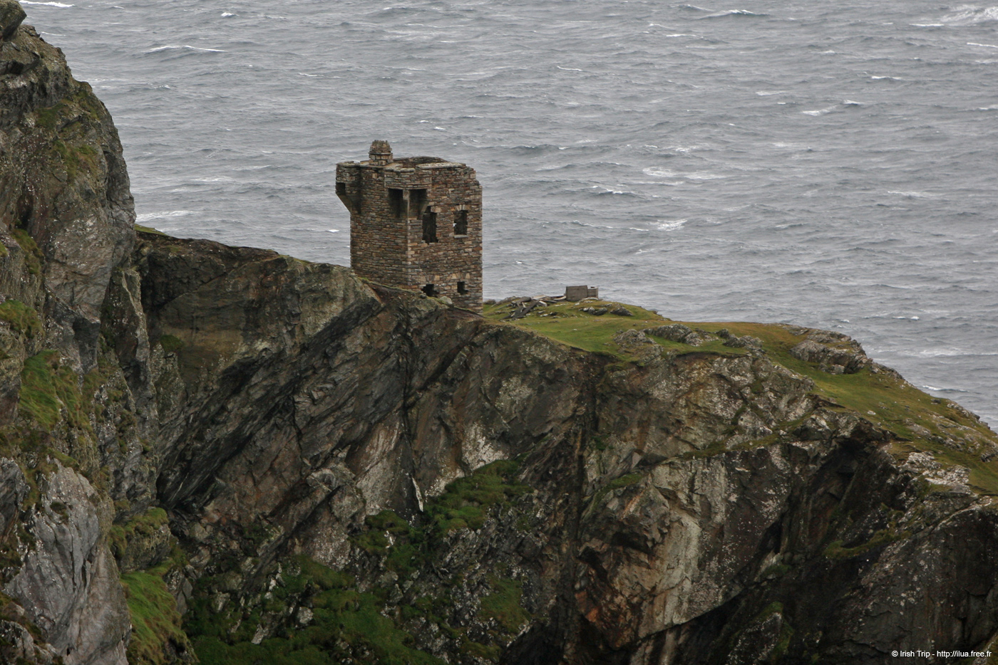 20081009_carriganhead02