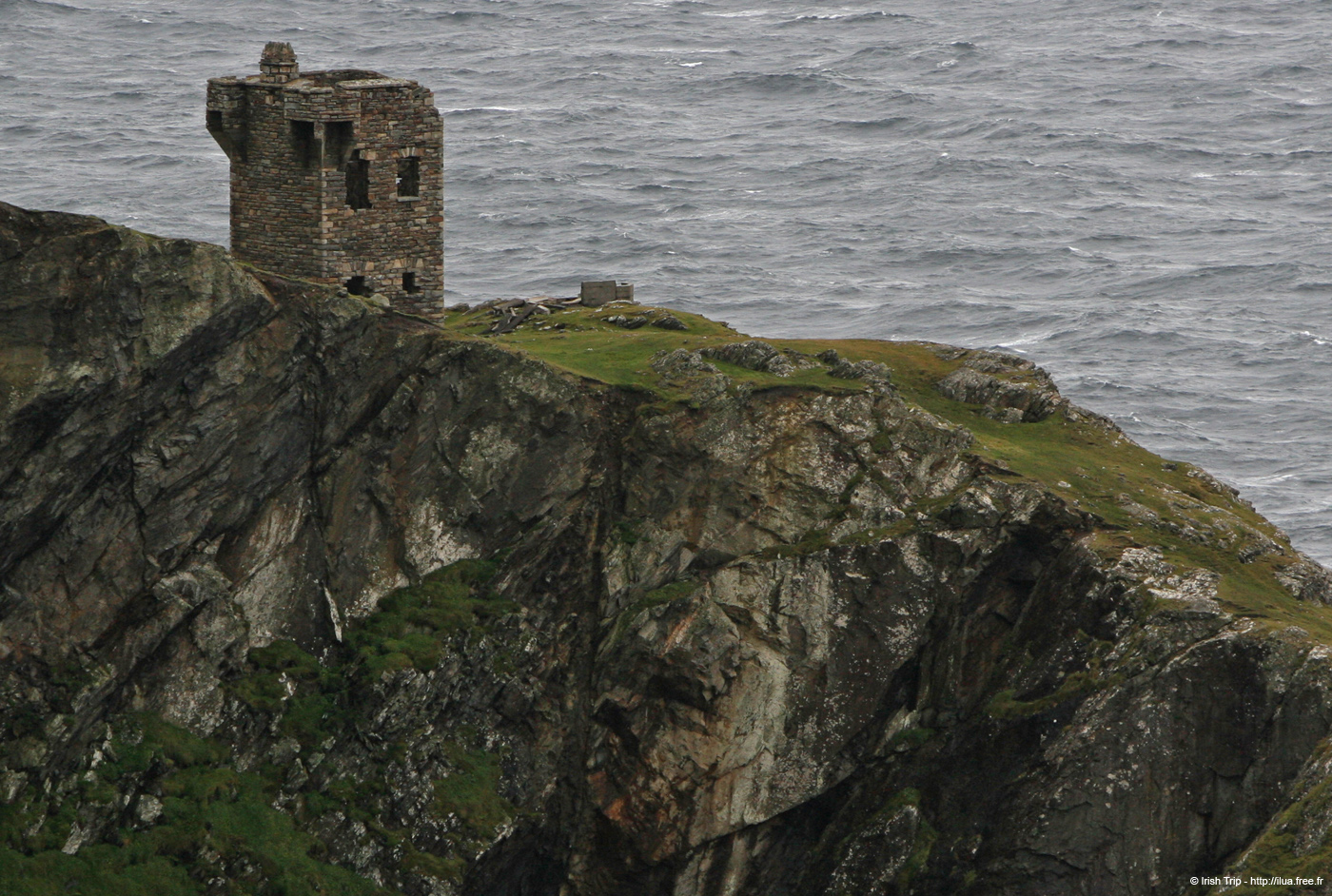 20081009_carriganhead03