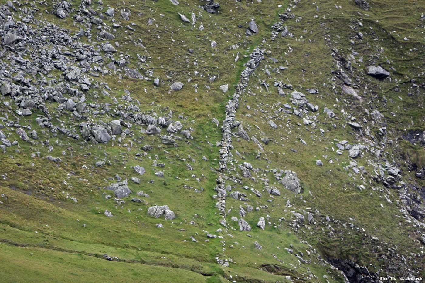 20081009_carriganhead05