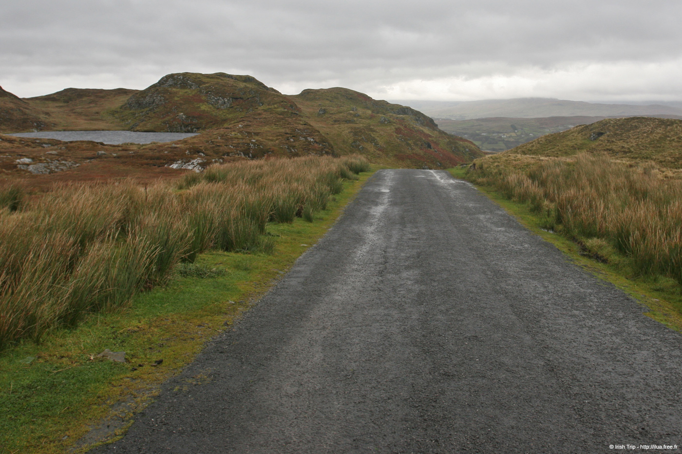 20081009_carriganheadroad01