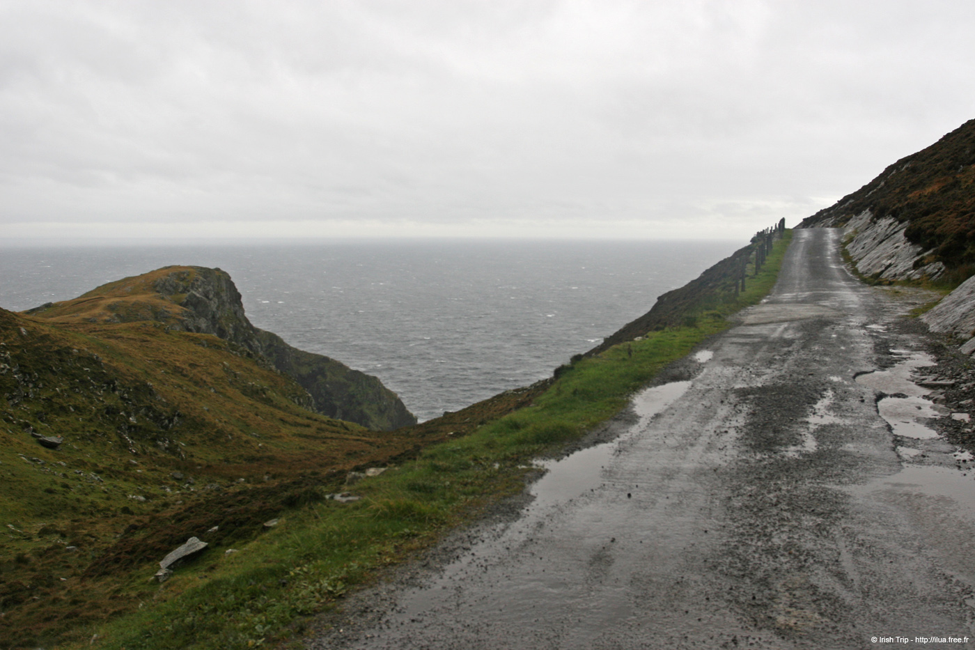 20081009_carriganheadroad02