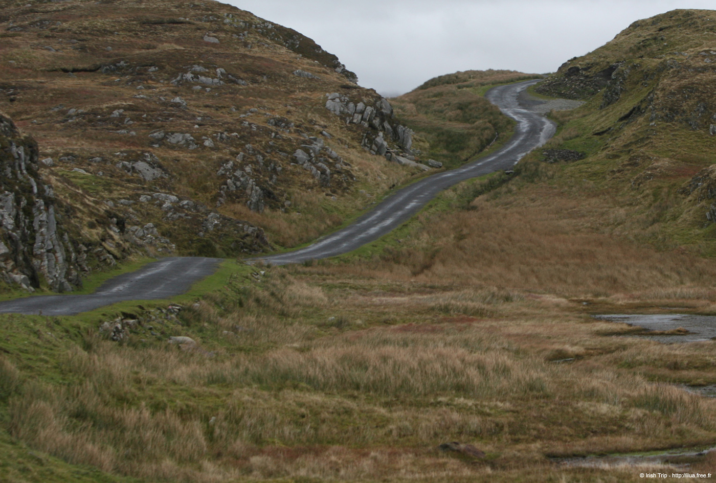 20081009_carriganheadroad03