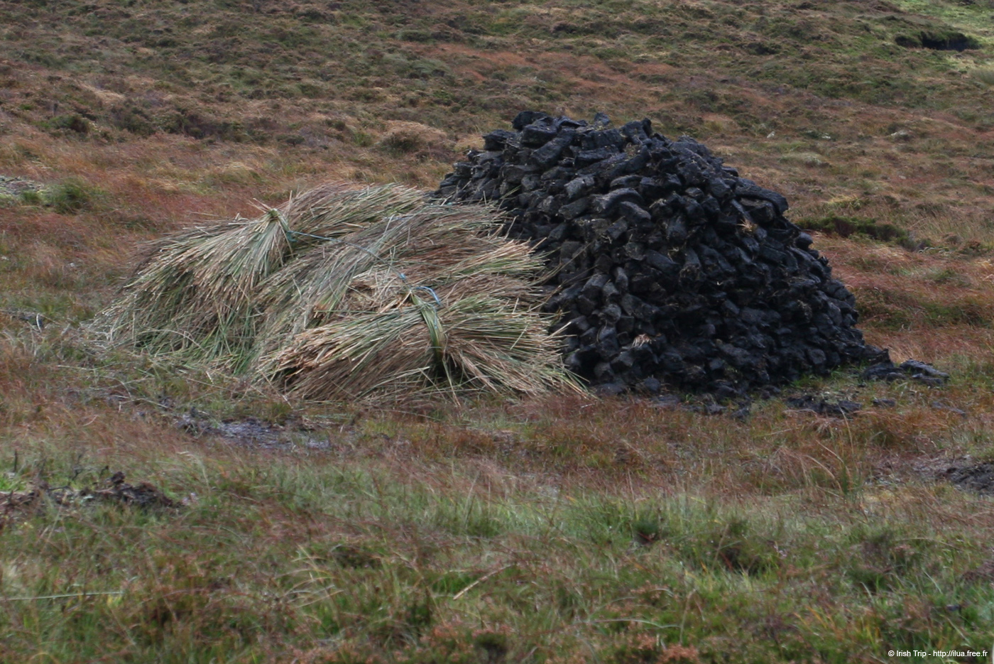 20081009_crocknamurrinlands02