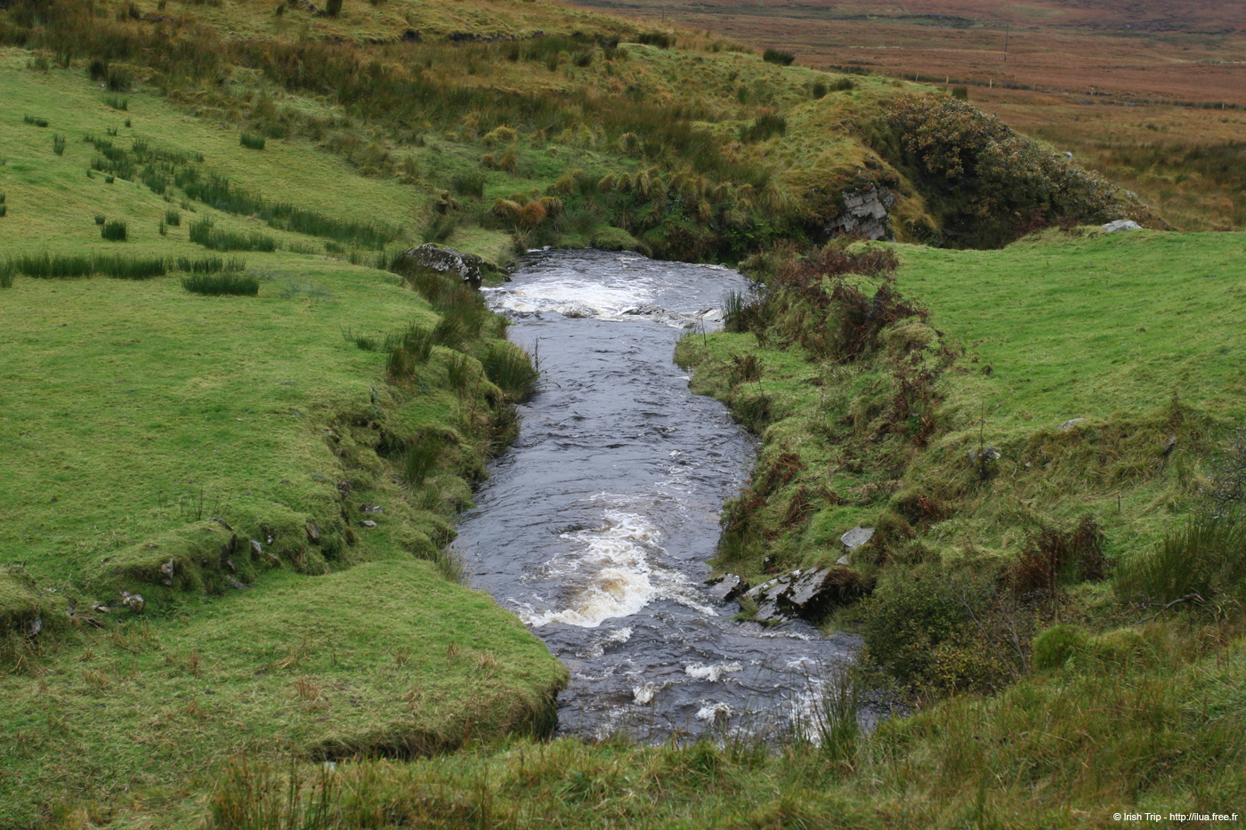 20081009_crowriver