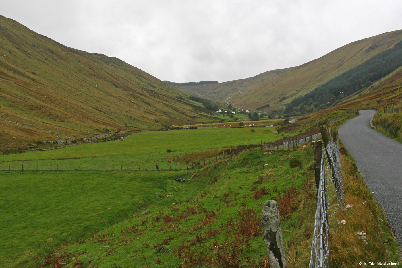 20081009_glengesh01