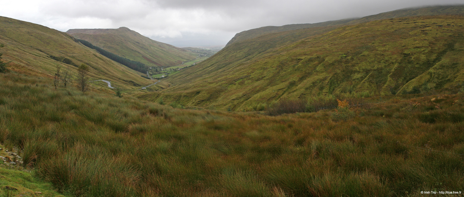 20081009_glengesh03