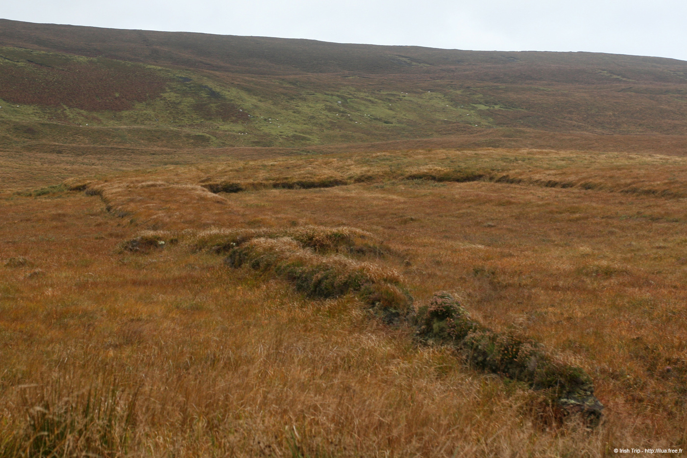 20081009_loughauvard1