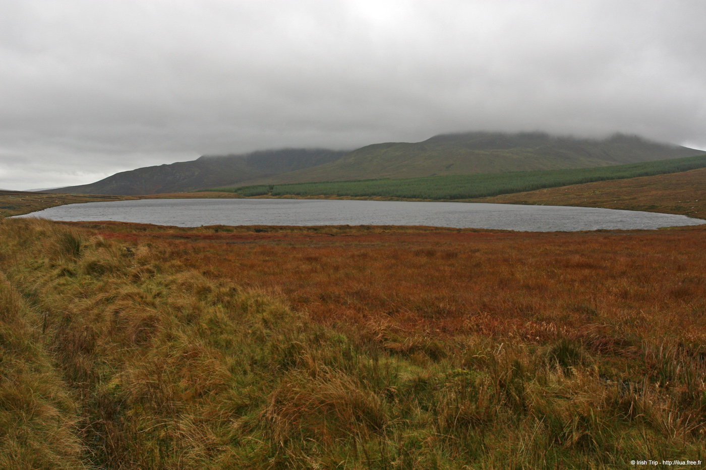 20081009_loughauvard2